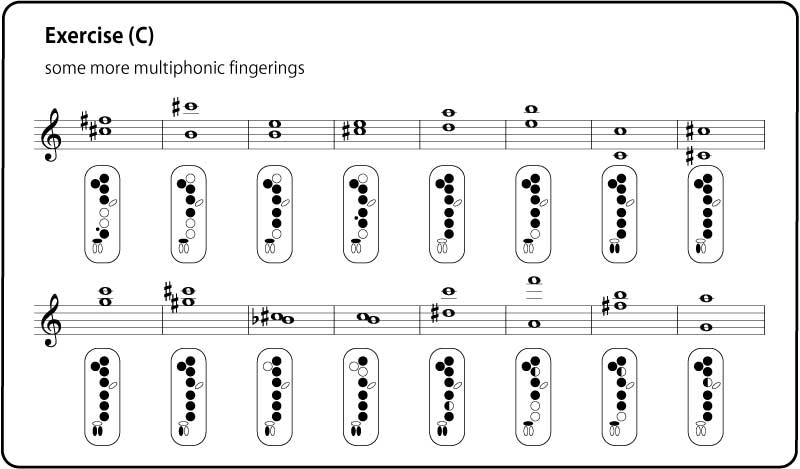 Exercise multiphonic samples